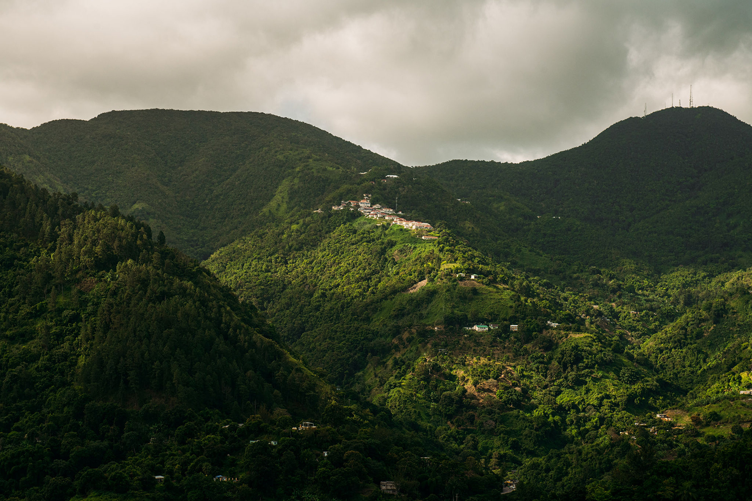 The Blue Mountains jamaica